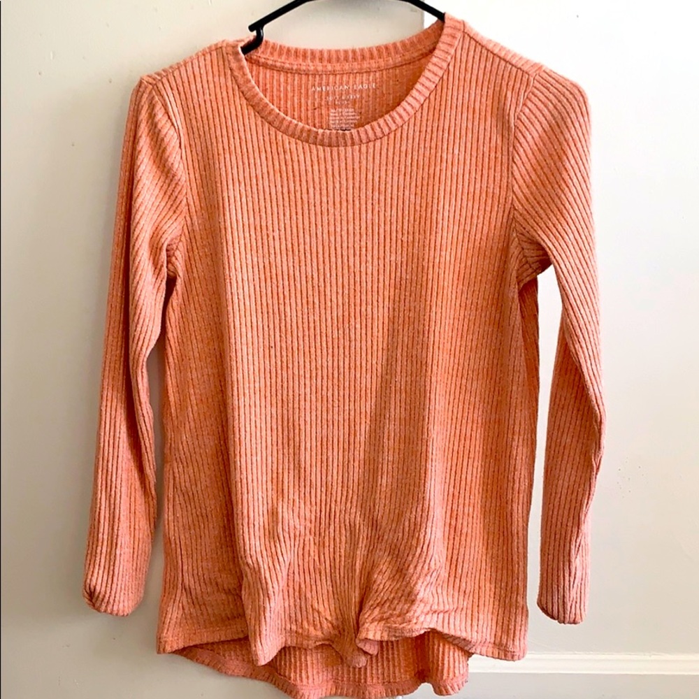 American Eagle Soft and Sexy Sweater
